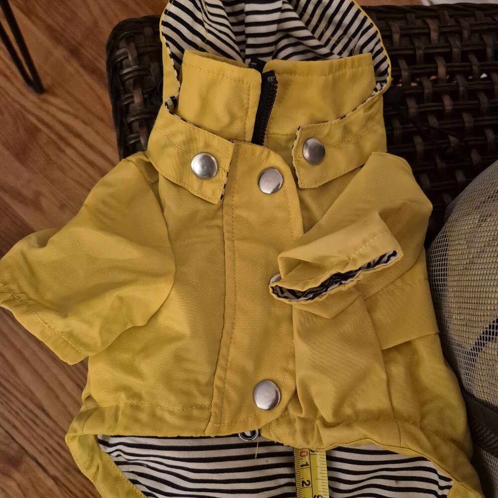 🐩 Clothes and Accessories for Dog Size S or XS - Post 1 of 2 - Picture 2 of 16